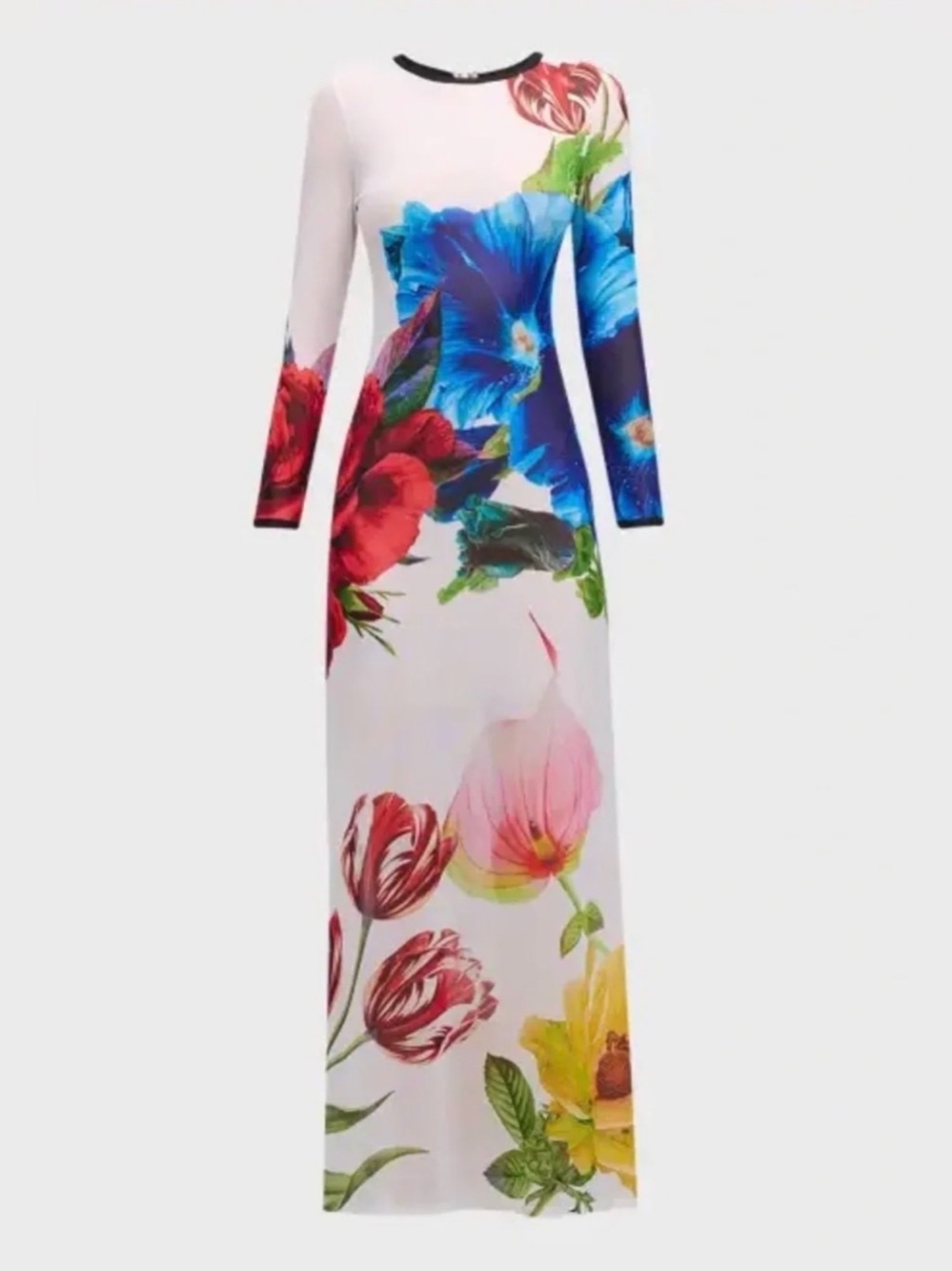 Commense Floral Long Sleeve Maxi Dress - White with Multicolor Floral Print